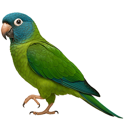 Blue-crowned Conure